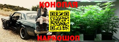 мяу мяу мука Комсомольск-на-Амуре