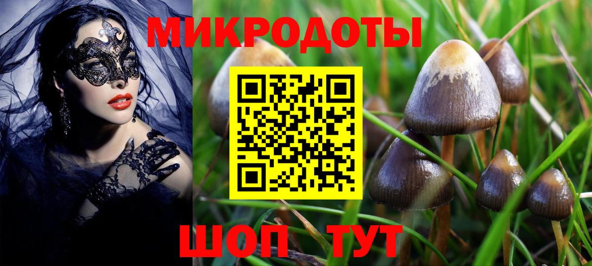 Псилоцибиновые грибы мухоморы Арсеньев